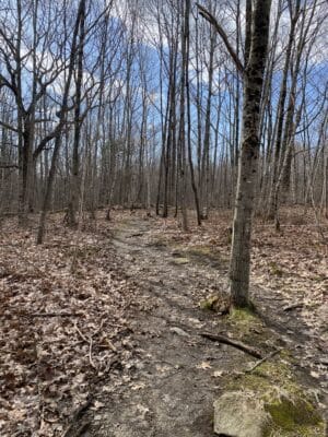 Trail Beach Hill Preserve Rockport Maine