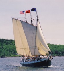 Windjammer Daysailing
